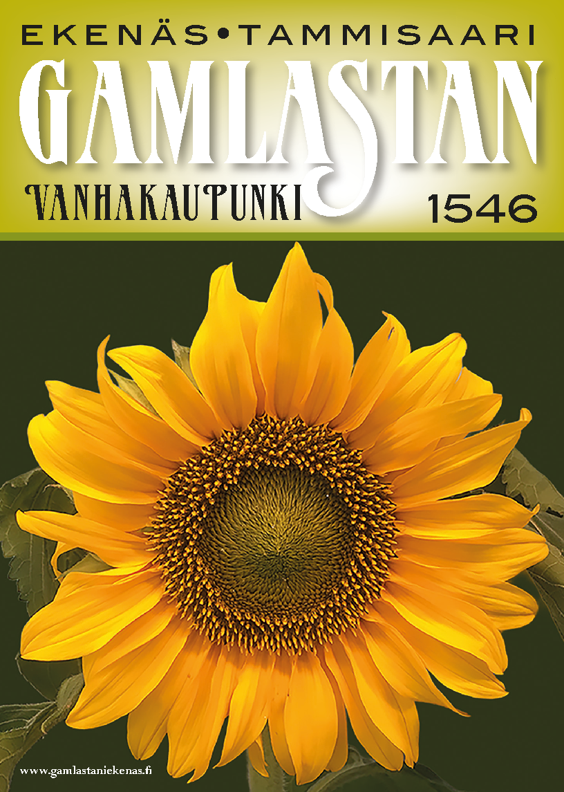Broschyr 2026 – Gamla Stan i Ekenäs